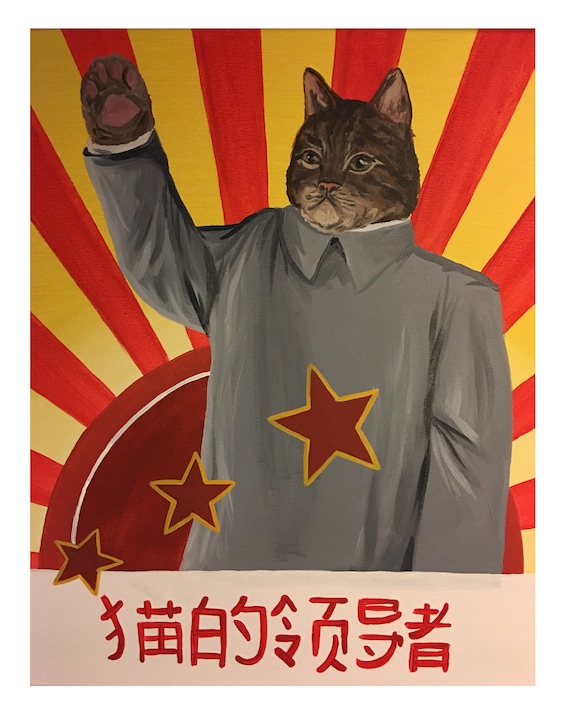 チェアマン 韓国苗