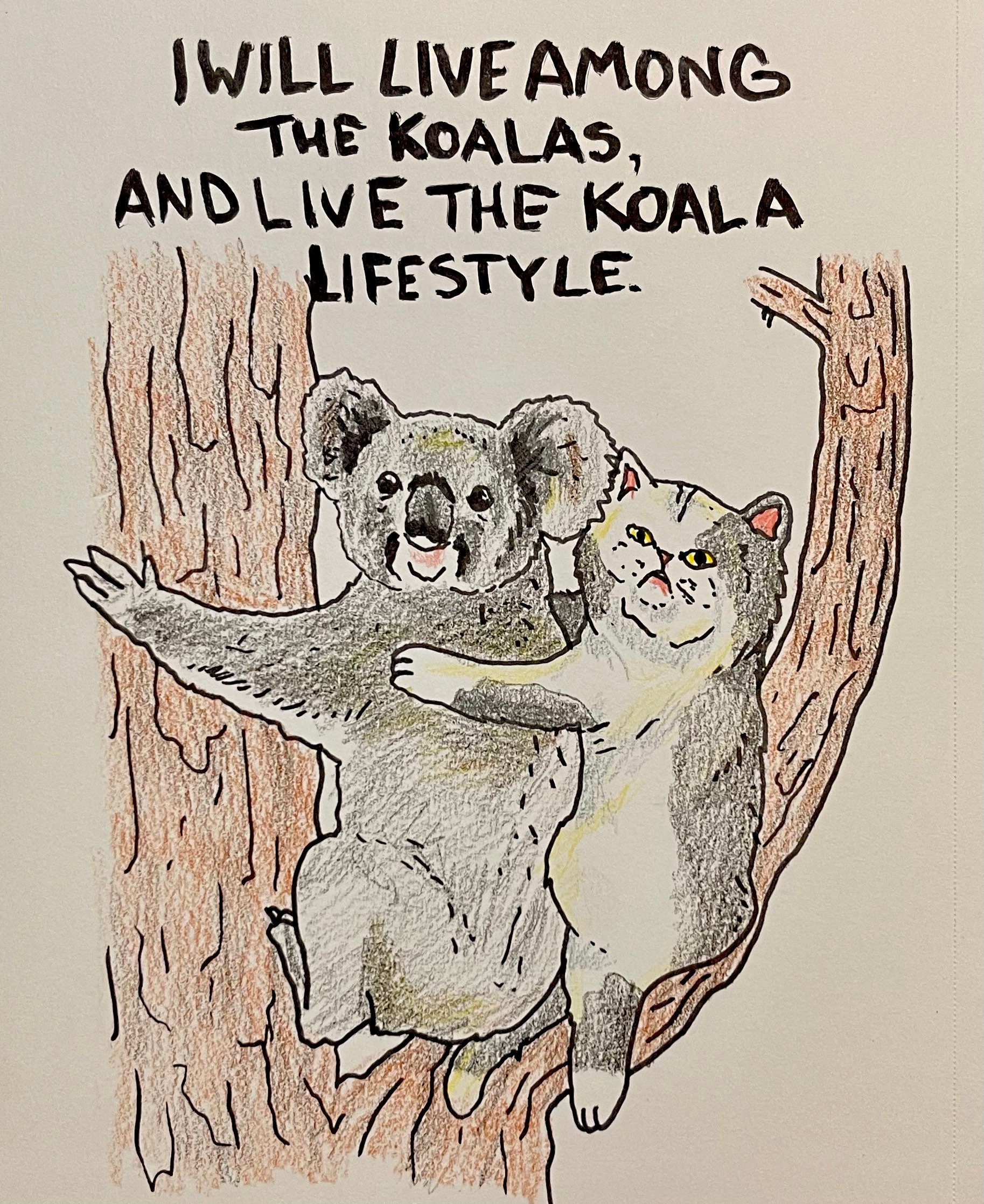 Koala Lifestyle - PRINT