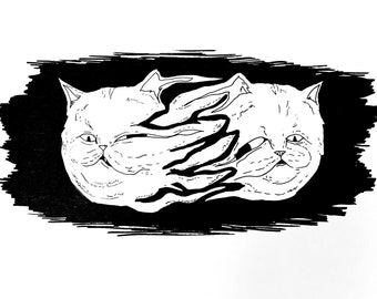 La División - IMPRIMIR