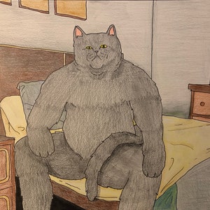 Puede incluir: Un gato grande de color gris con ojos amarillos está sentado en una cama con una manta amarilla y gris. El gato es musculoso y tiene una cabeza grande. El gato está mirando hacia la derecha de la imagen.