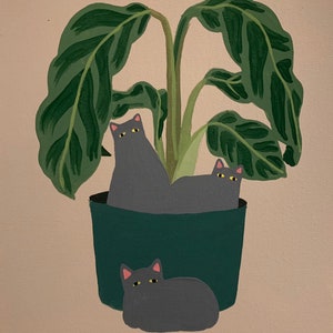 Calathea Zebrina - PRINT