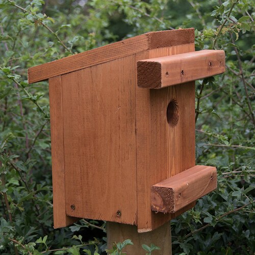 Personalised Custom Bee Bird Nesting Box Etsy