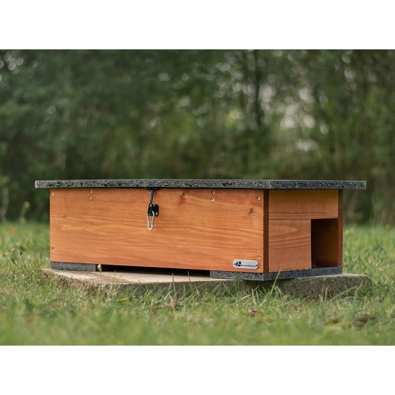 Hedgehog Eco Feeding Station image 1