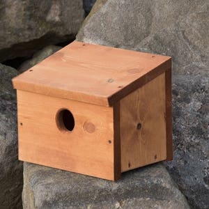 Starling Nest Box