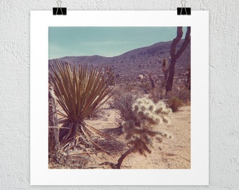 70's Desert Vintage Photo Print, Desert art, Desert wall art, Cactus print, Cactus art