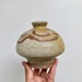 see more listings in the POTS/PLANTERS/VASES section