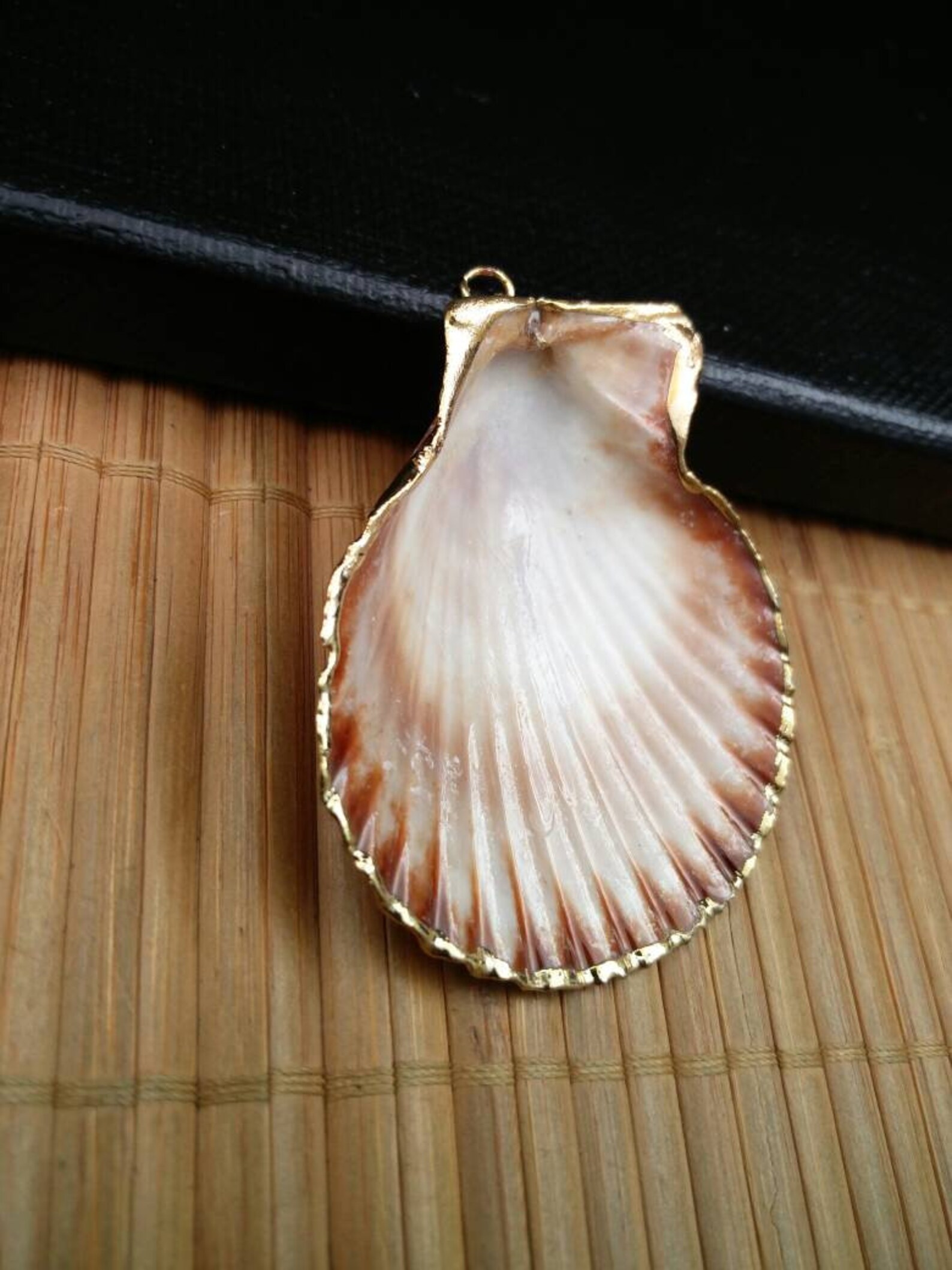 Natural Seashell Charm Fan Shaped Shell Gold Electroplated Etsy