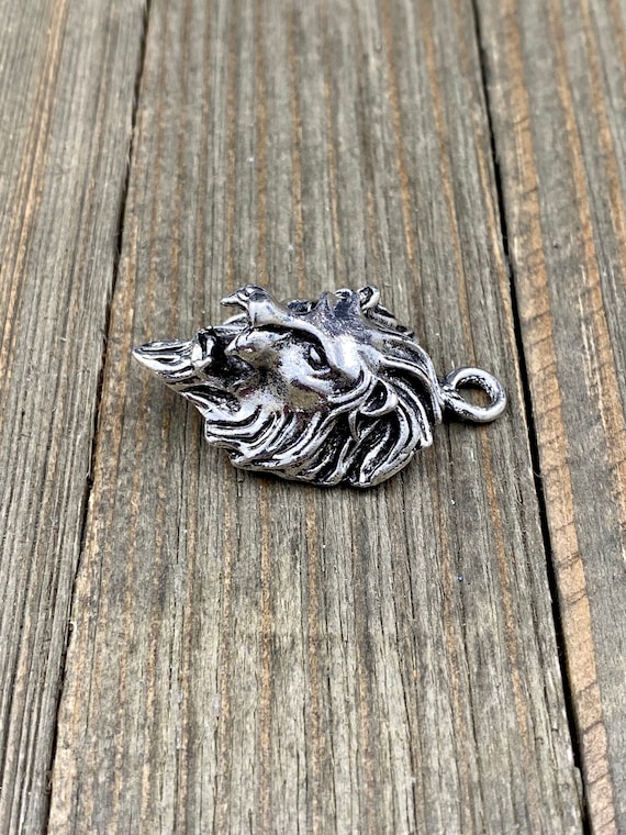 Bastone da passeggio - Testa di Leone - Argento 925/1000 - Catawiki