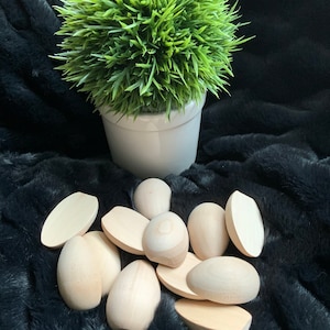 May include: A collection of 10 wooden eggs, some whole and some halved, arranged on a black fuzzy surface. A small potted green plant sits above the eggs.