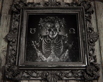 Omega Skull Fine Art Print  | Victorian Skeleton Gothic Skull Poster Wall Decor