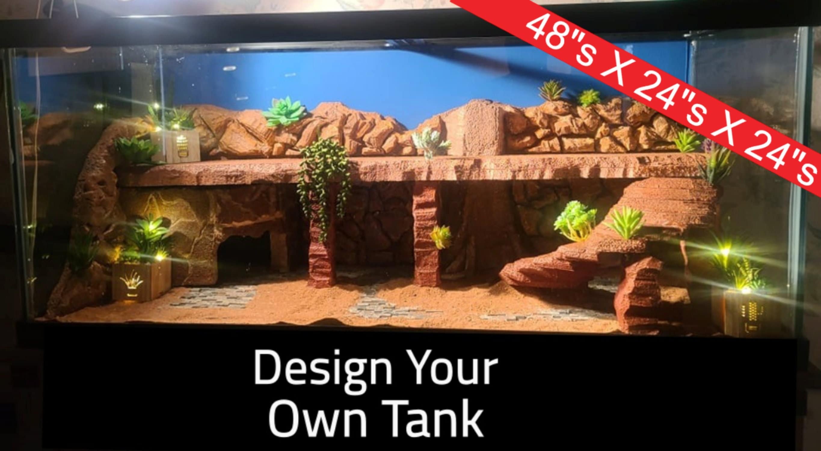 lizard cage accessories