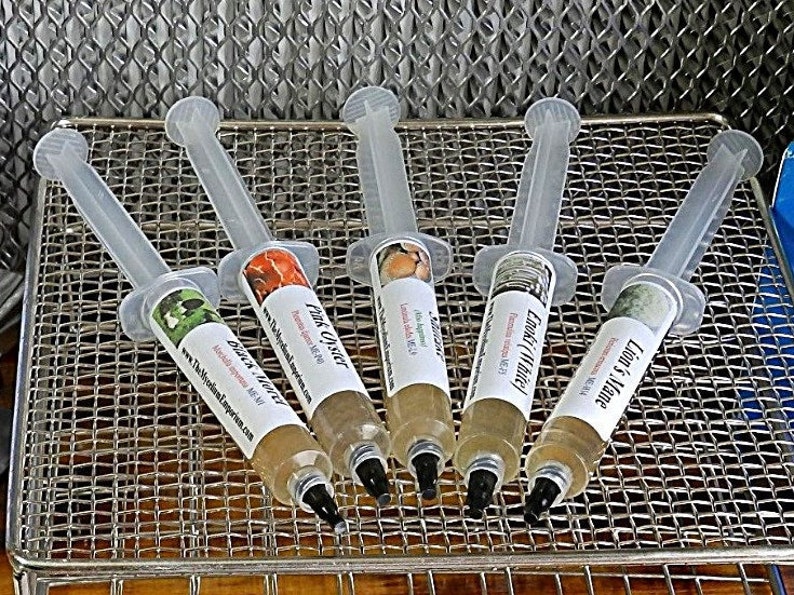 Mushroom Liquid Cultures Etsy