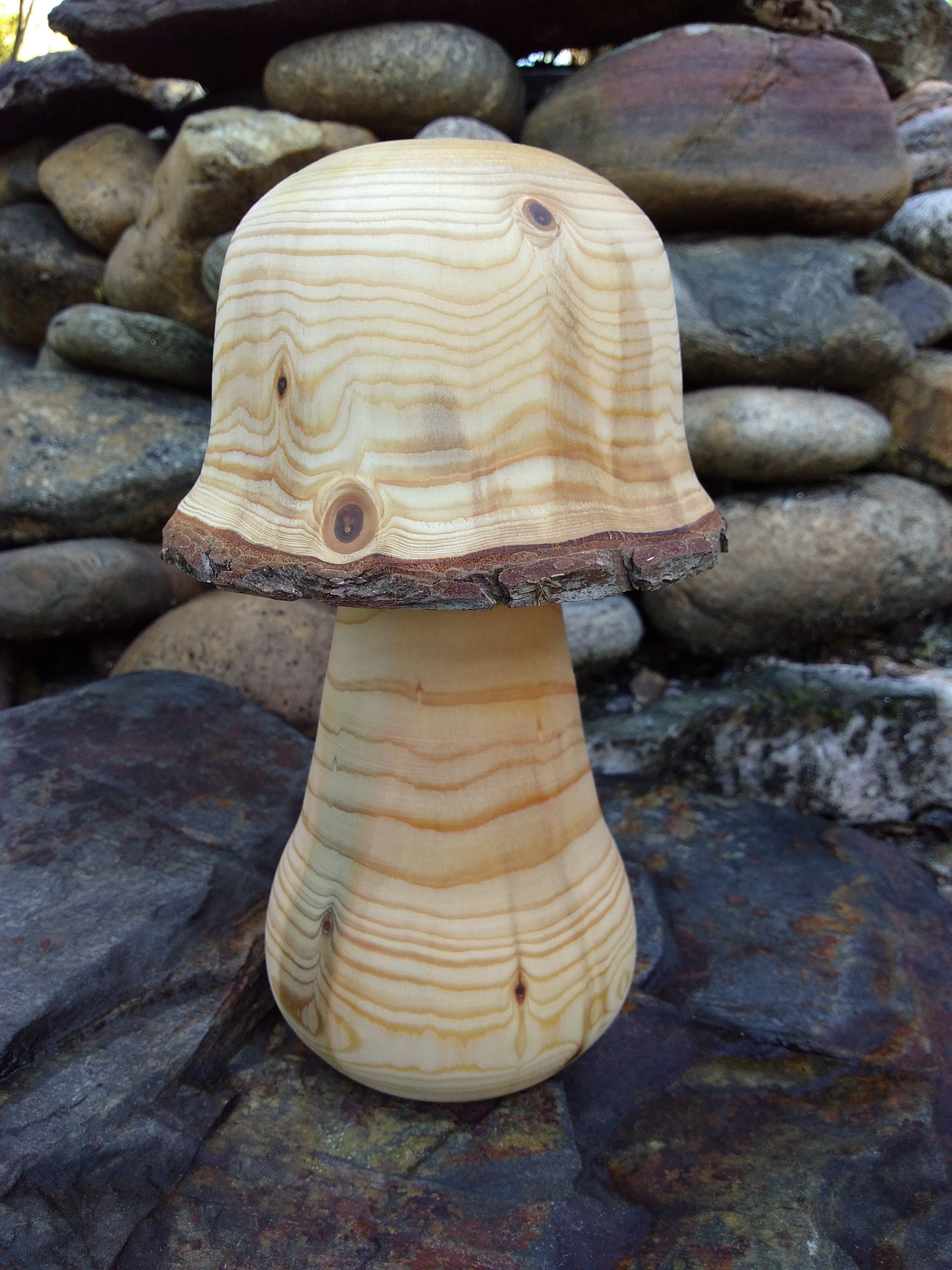 Champignon de Cèdre Tourné