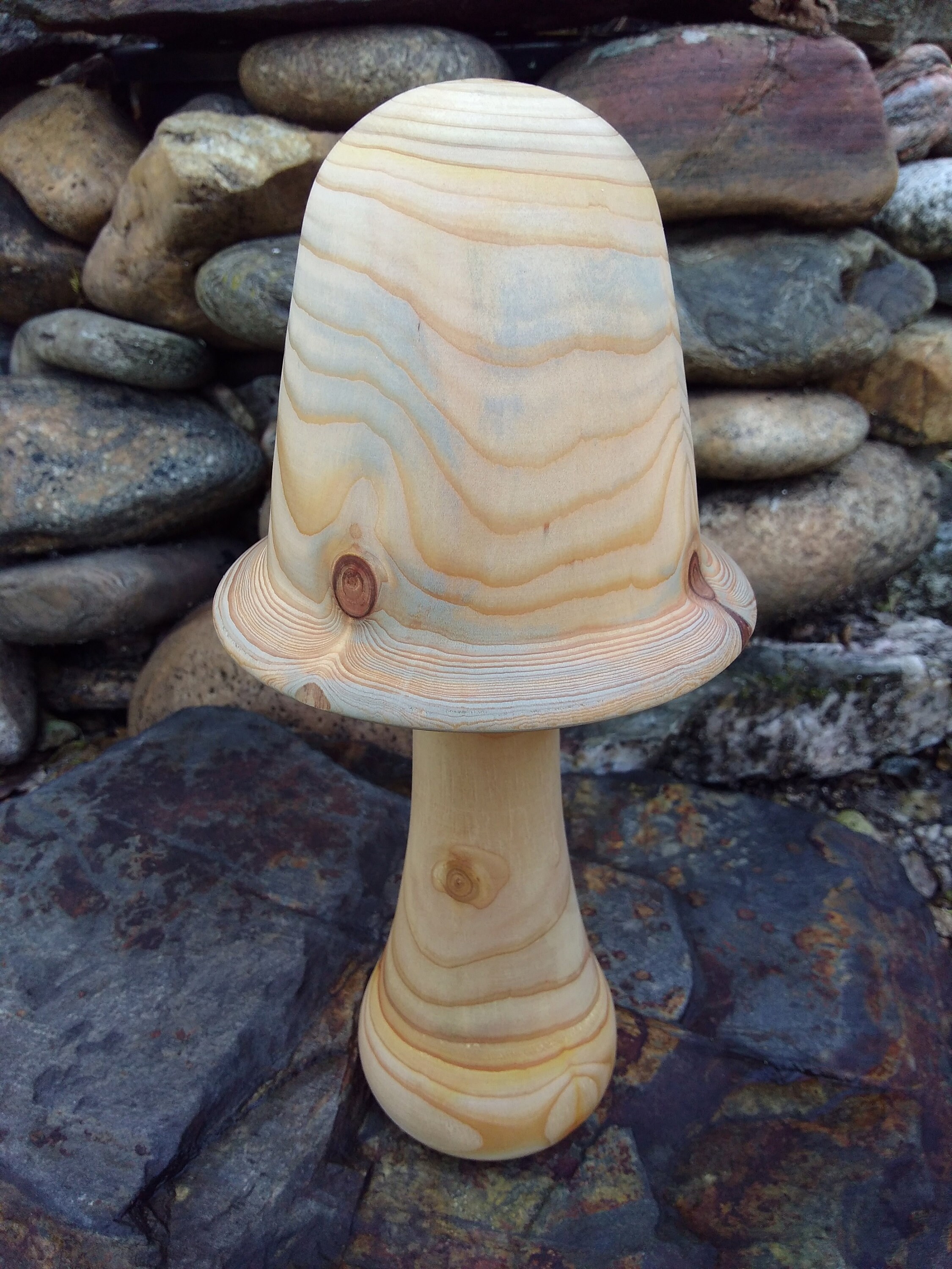 Champignon de Cèdre Tourné