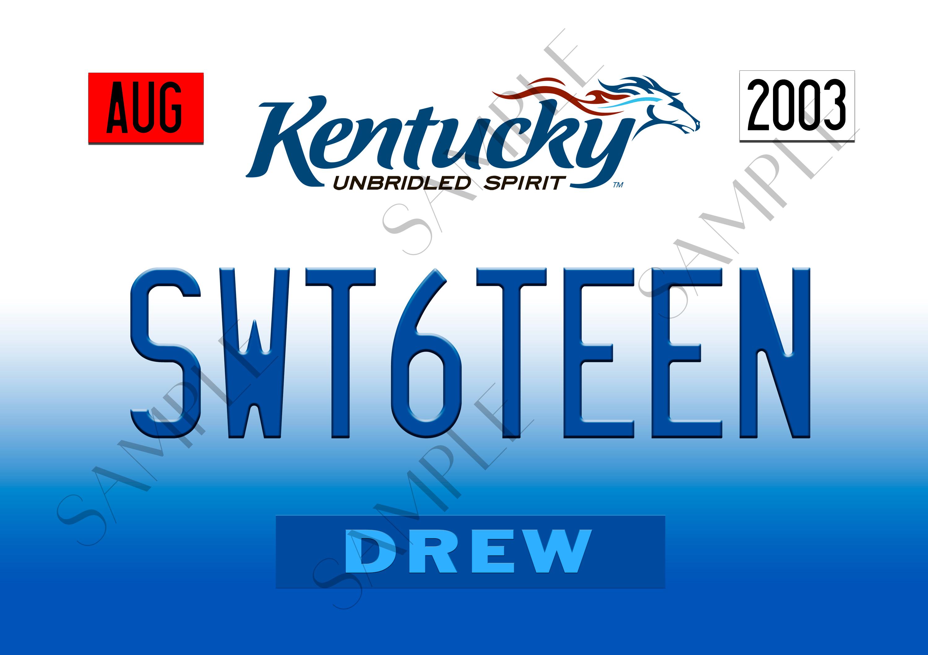 Kentucky Drivers License Cake Topper License Plates Sweet Sixteen