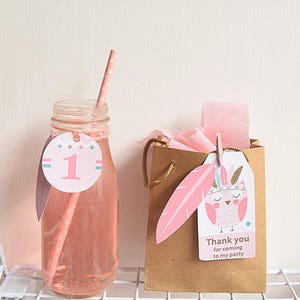 May include: Pink and brown party favor bag with a pink feather and a tag that says "Thank you for coming to my party". The tag has a pink owl with a headband on it.