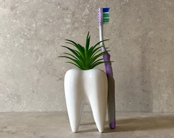 Ceramic Tooth Vase with Faux Succulent