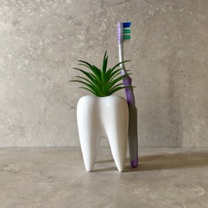 Ceramic Tooth Vase with Faux Succulent