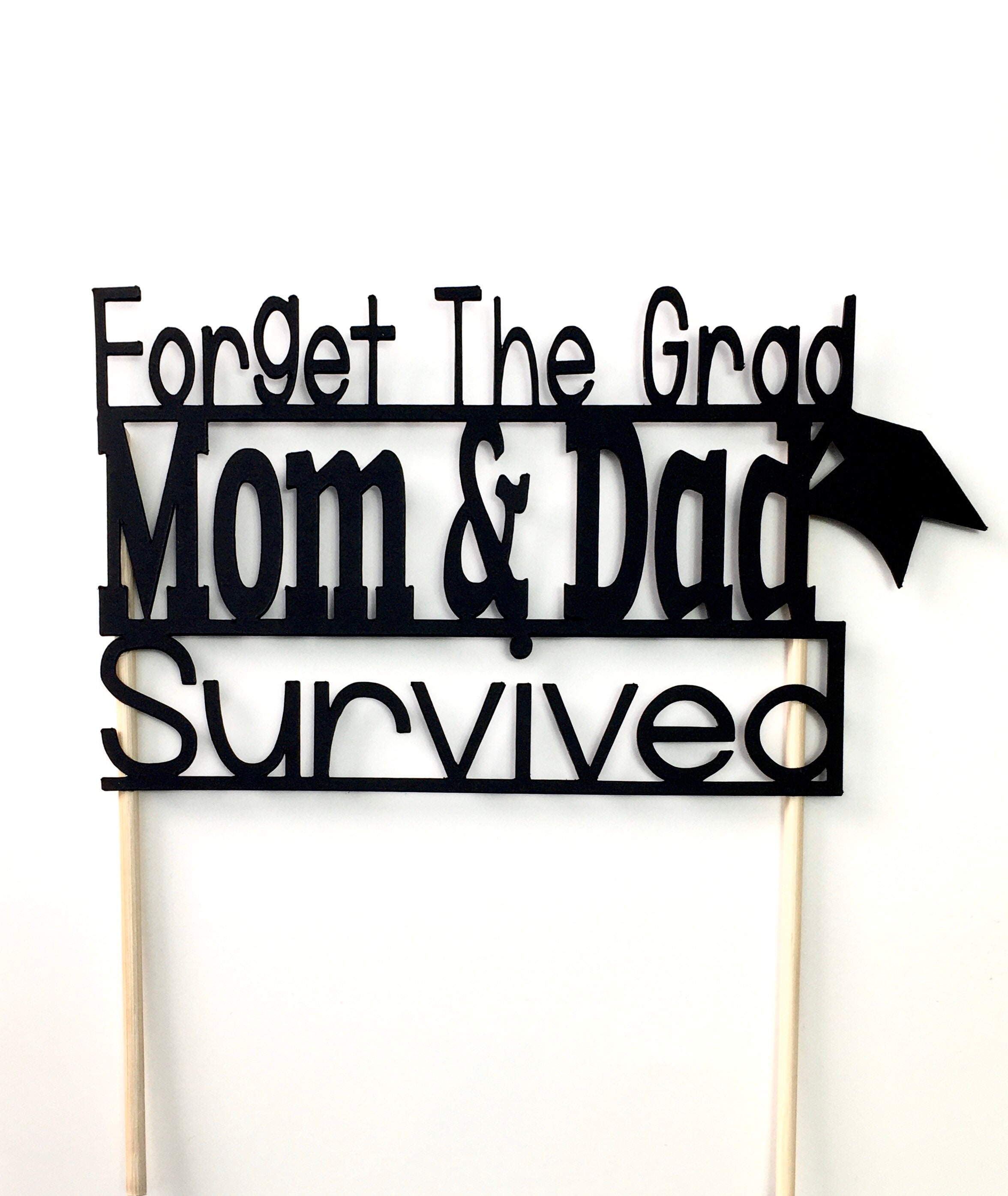 Graduation Cake Topper, Graduation Cake, Funny Graduation, Graduation ...