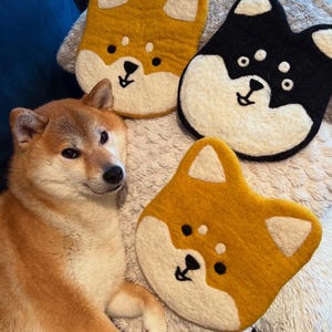 Filtunderlägg | Söt Shiba Inu | Heminredning | Corgi | Kattunderlägg