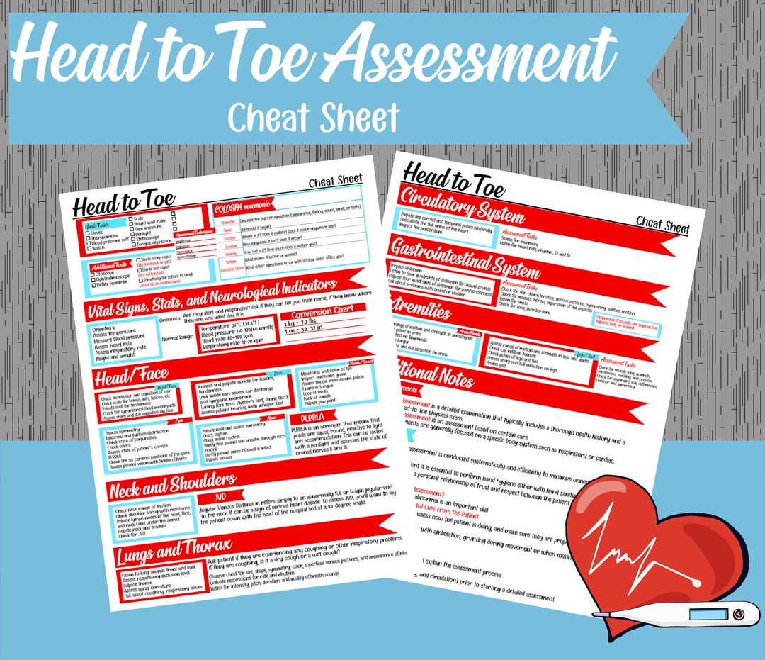 Head to Toe Template Bundle Nursing School Notes Nursing - Etsy