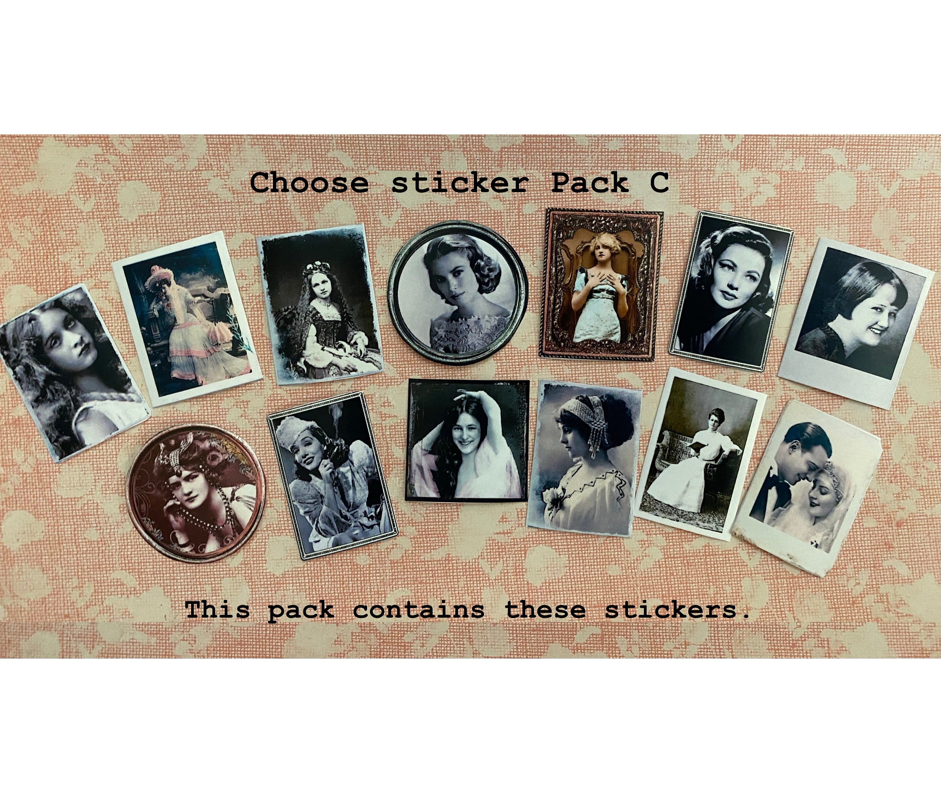 Miniature Vintage-portrait Stickers-hand Cut/ Frost Matte or - Etsy