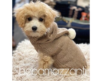 Pull chihuahua en cachemire ecologique 100 manteau de luxe pour chien pull pour chiot respectueux de l environnement en cachemire fabrique en Italie pull pour petit chien tricote a la main