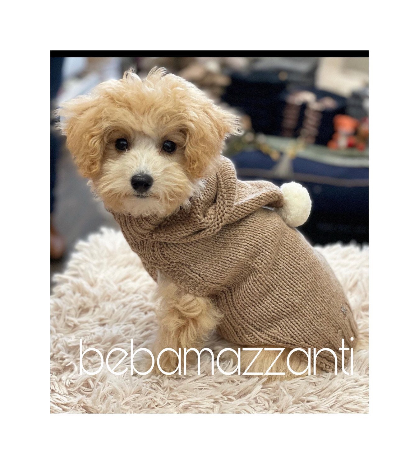 Dog sheep sale sweater