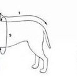 Op de afbeelding: Diagram met instructies voor het meten van een hond voor een harnas. De eerste afbeelding toont een hond die staat met een harnas aan, met nummers die aangeven waar te meten. De tweede afbeelding toont een hond die zit met nummers die aangeven waar te meten.