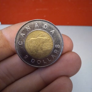 1996 Canadian Brilliant Uncirculated QEII & Loonie One Dollar Coin! 