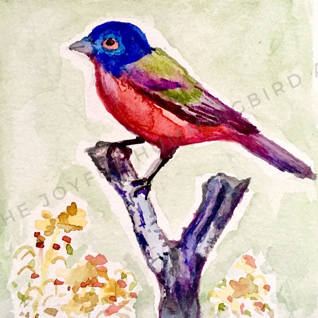 5x5 in Painted bunting watercolor art print nature bird Etsy