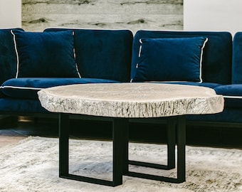 May include: A round coffee table with a natural wood slab top and black metal legs. The table is in front of a blue velvet sofa with white trim and matching pillows. The room has a neutral color palette.