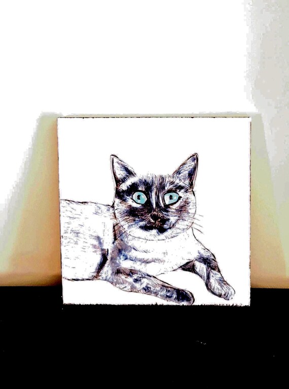 Tableau chat aux yeux bleus