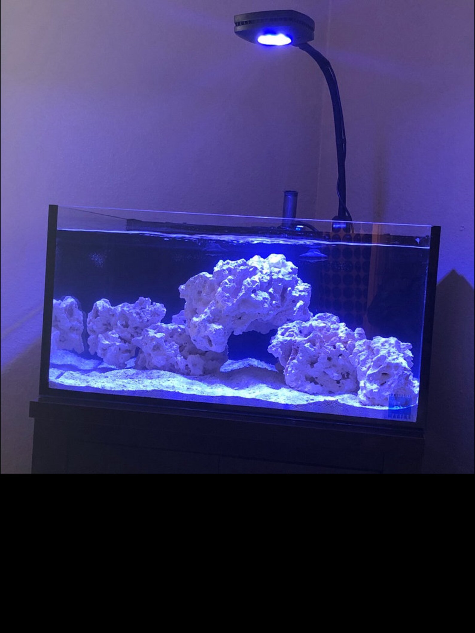 Dry Aquarium Reef Rock by the Lb Mixed Sizes Etsy