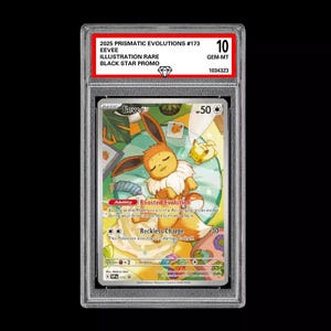 Promoción de caja de entrenador de élite SVP 173 de Eevee con grado 10 de GM Evoluciones prismáticas de Pokémon