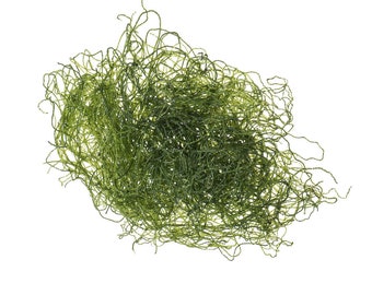 Chaeto (Spaghetti Algae) Refugium Chaetomorpha - Soft Ball Size - Approx. 4 oz - 1/4 lb (116 grams)