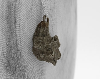 Campo Del Cielo Iron Meteorite Necklace / Iron Meteorite Pendant / Meteor / Meteoroid / Space Rock / Genuine Authentic Argentina