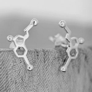 Op de afbeelding: Een paar zilveren oorbellen in de vorm van een chemisch molecuul. De oorbellen zijn klein en delicaat en zouden een geweldig cadeau zijn voor een wetenschapsliefhebber.