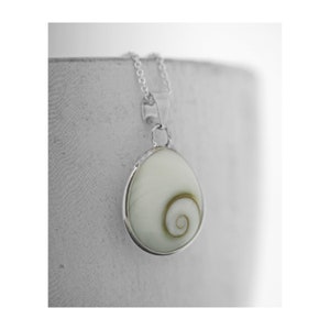 Teardrop Shell Necklace / Shiva Shell Necklace / Shiva Eye Necklace / Shivas Eye / Shell Pendant / Shiva Shell Pendant / Shiva Eye Pendant