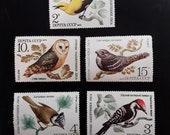 Set 5 stamps Soviet postage stamp images of birds Soviet Vintage Postage stamp USSR made in ussr