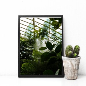 Photography Green Plant, Kew Gardens, Physical print, wall art, gift