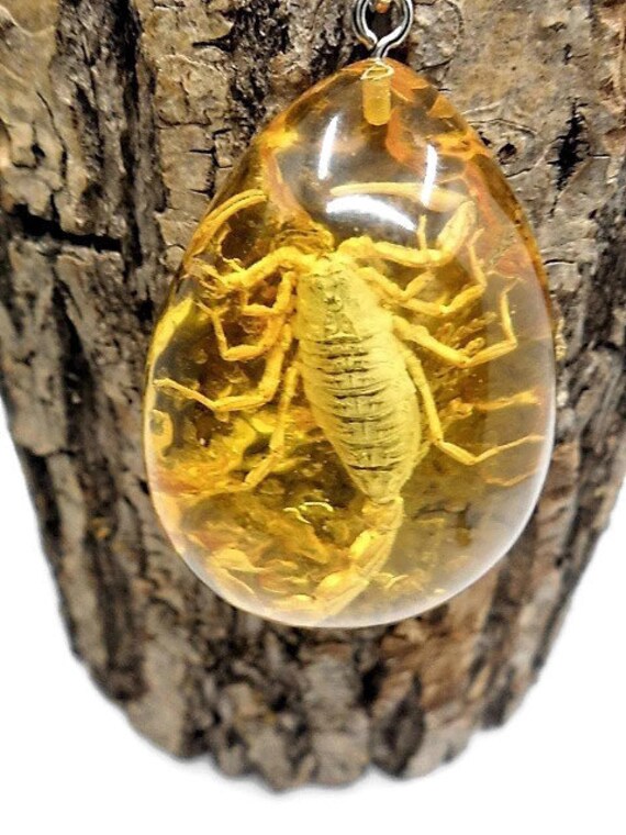50 PCS RARE MIX INSECT GLOW LUCITE KEYCHAIN JEWELRY TAXIDERMY GIFT