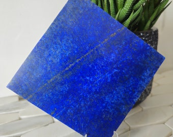 Quality 10 x 10 cm Polished Stone Sided Tile | Lapis Palm Stone, Strength, Calm, Cabochon, Tumbled, home decor, Free form, mineral specimen