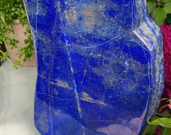 Lapis Lazuli Gift 36 cm Freeform | Afghanistan Blue Stone Specimen, Pyrite, Collector Piece