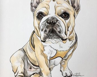 Custom Pet & Animal Portraits - Standard Size