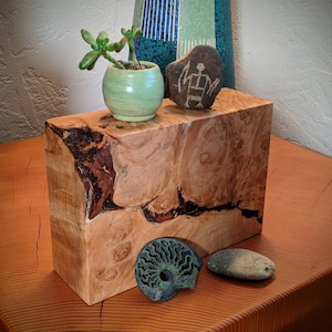 Pode incluir: Um bloco de madeira retangular com um padrão de grão natural, coberto por um pequeno vaso de cerâmica verde com uma planta suculenta. Uma pedra esculpida e um fóssil são colocados perto. O bloco está em uma mesa de madeira.
