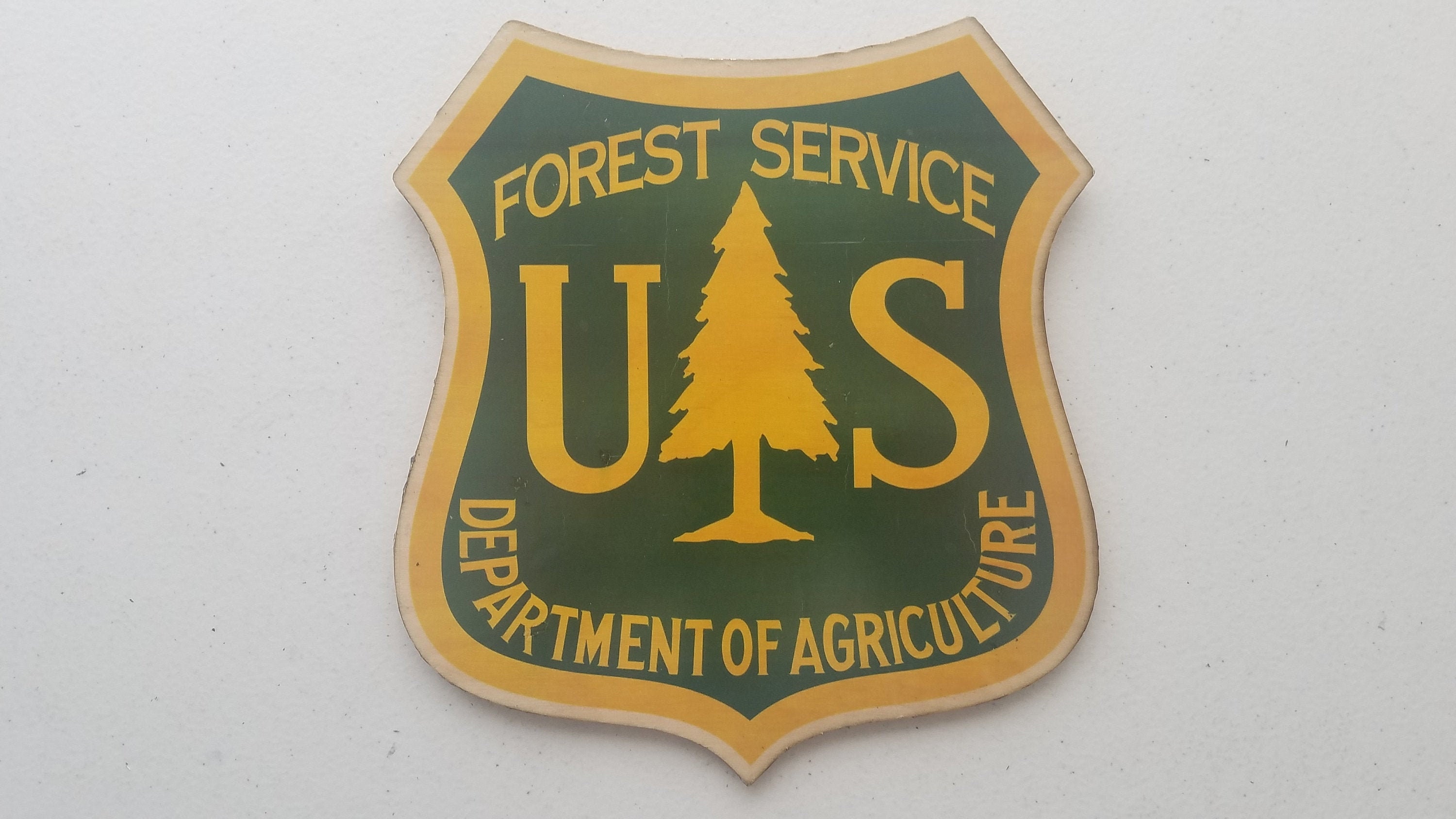 Forest Service Insignia on Wood 8 inches | Etsy
