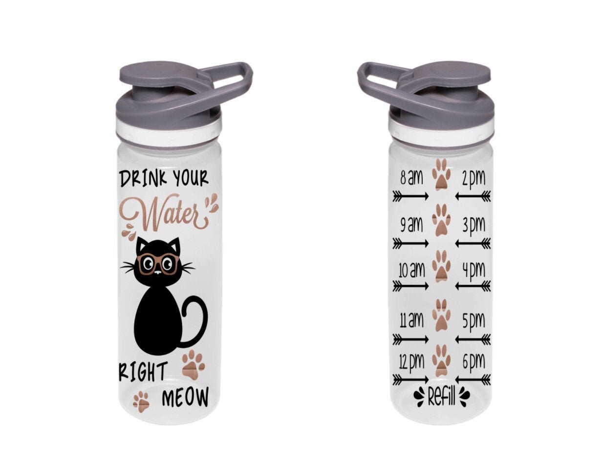 Cat drink bottle outlet
