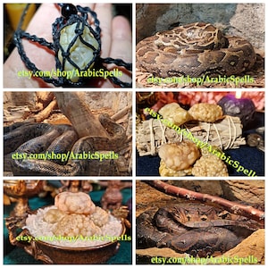 Könnte beinhalten: Eine Collage mit einem hellen, strukturierten Stein in einem schwarzen Makramee-Netz, einer braunen, gemusterten Schlange, die sich um Holz windet, und Ansammlungen blasser, knubbeliger Steine in einer Schale und auf Kräuterbündeln.