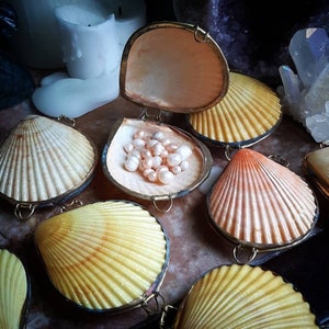 Mermaid Coin Purse/Shell Box